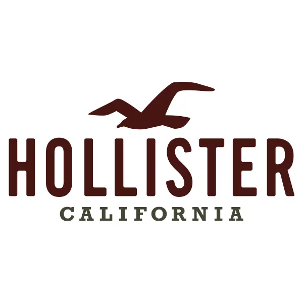 Hollister Logo Png - Transparent Background Hollister Logo, Png Download -  kindpng