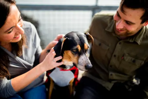 Volunteers with a dog