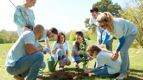 Volunteers planting a tree